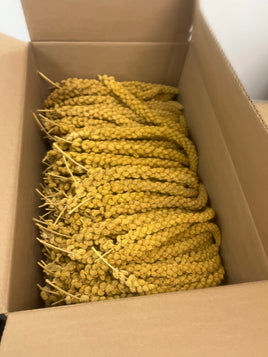 Grade A Spray millet box 20 lbs