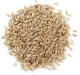 Plain canary seeds 2kg