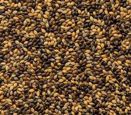 Hungarian millet seeds 1kg