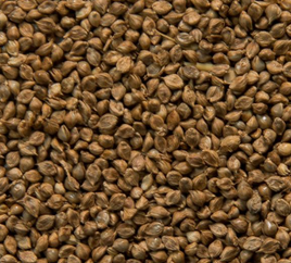 Japanese millet seeds 1kg