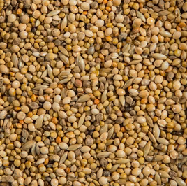 Moore finch seeds 2kg