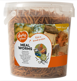 DUVO PLUS freeze dried worms