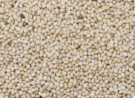 White Perilla seeds 1kg