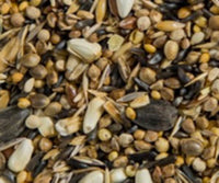 European Goldfinch-siskin seed mix 2kg (Cardellini)