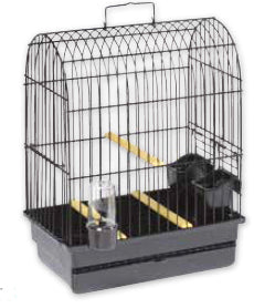 Black show cage